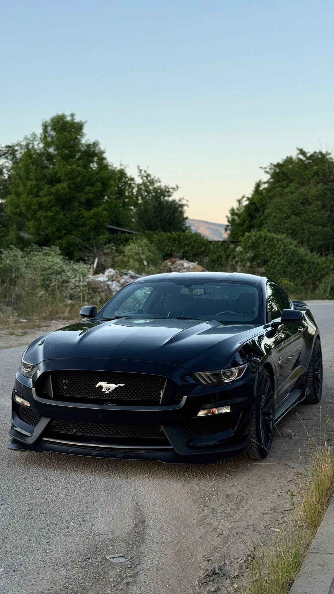 Satılık Mustang Hatasız 2.0 — İlan fotoğrafı